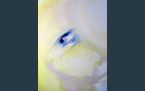 Light Eye, 2014, acrylic paint on canvas, 110 x 140 cm